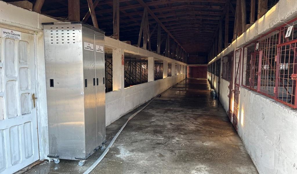 WhatsApp-Image-2023-10-11-at-19.46.47-15-1.jpeg - StiriAlese