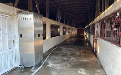 WhatsApp-Image-2023-10-11-at-19.46.47-15-1.jpeg - StiriAlese