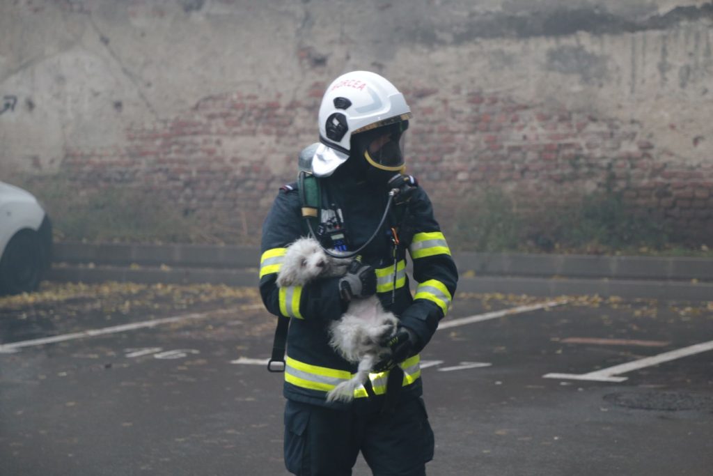 Fost pompier din Bihor, trimis în judecată pentru trafic de influență, după ani în care s-a dat drept reprezentant al serviciilor de informații Un fost pompier bihorean, Ionel Gabor, a fost trimis recent în judecată pentru acuzații de trafic de influență, în contextul unei activități infracționale extinse pe parcursul mai multor ani