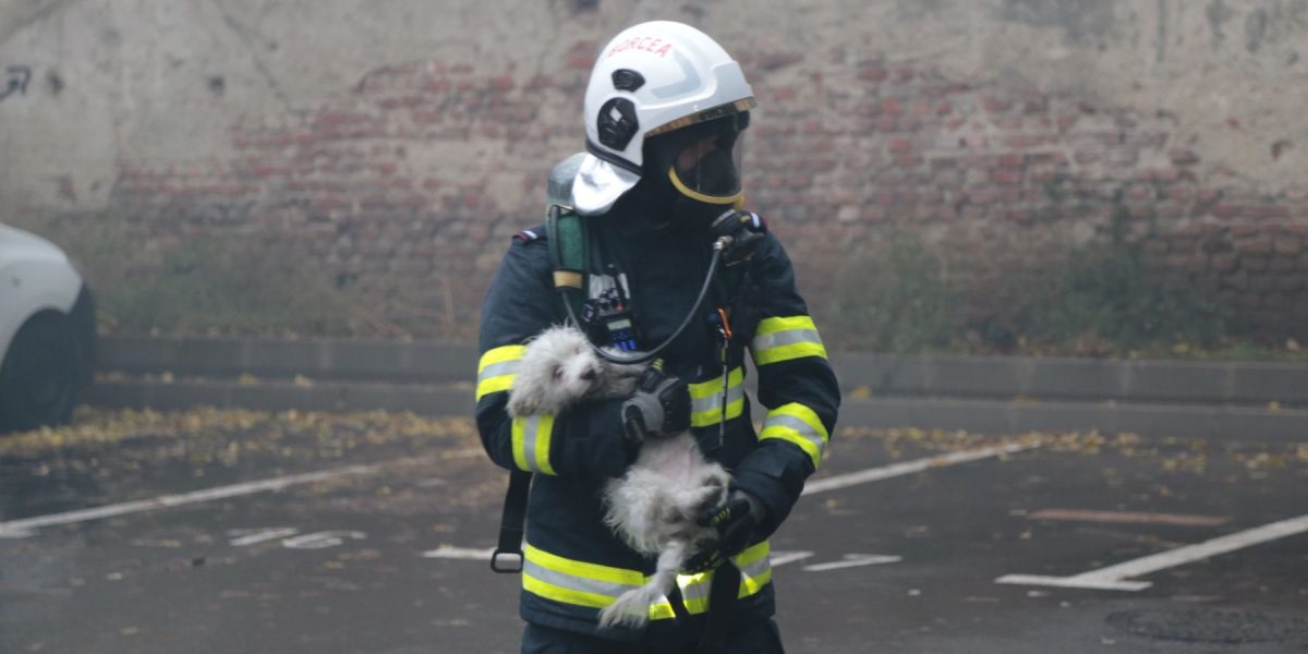 WhatsApp-Image-2024-12-07-at-14.50.32.jpeg - StiriAlese