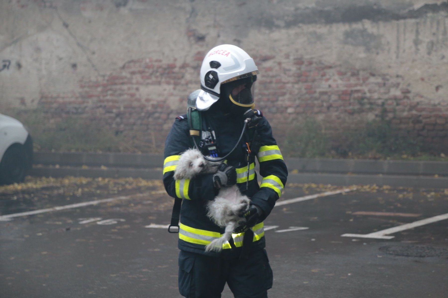 Fost pompier din Bihor, trimis în judecată pentru trafic de influență, după ani în care s-a dat drept reprezentant al serviciilor de informații Un fost pompier bihorean, Ionel Gabor, a fost trimis recent în judecată pentru acuzații de trafic de influență, în contextul unei activități infracționale extinse pe parcursul mai multor ani