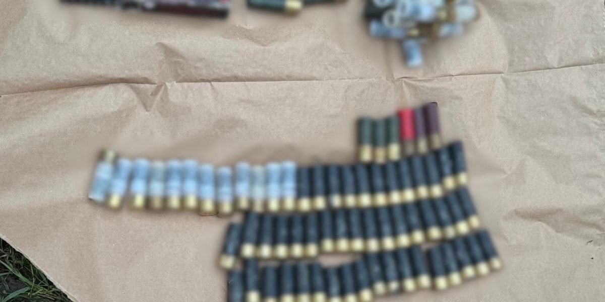 WhatsApp-Image-2026-02-09-at-11.21.51.jpeg - StiriAlese