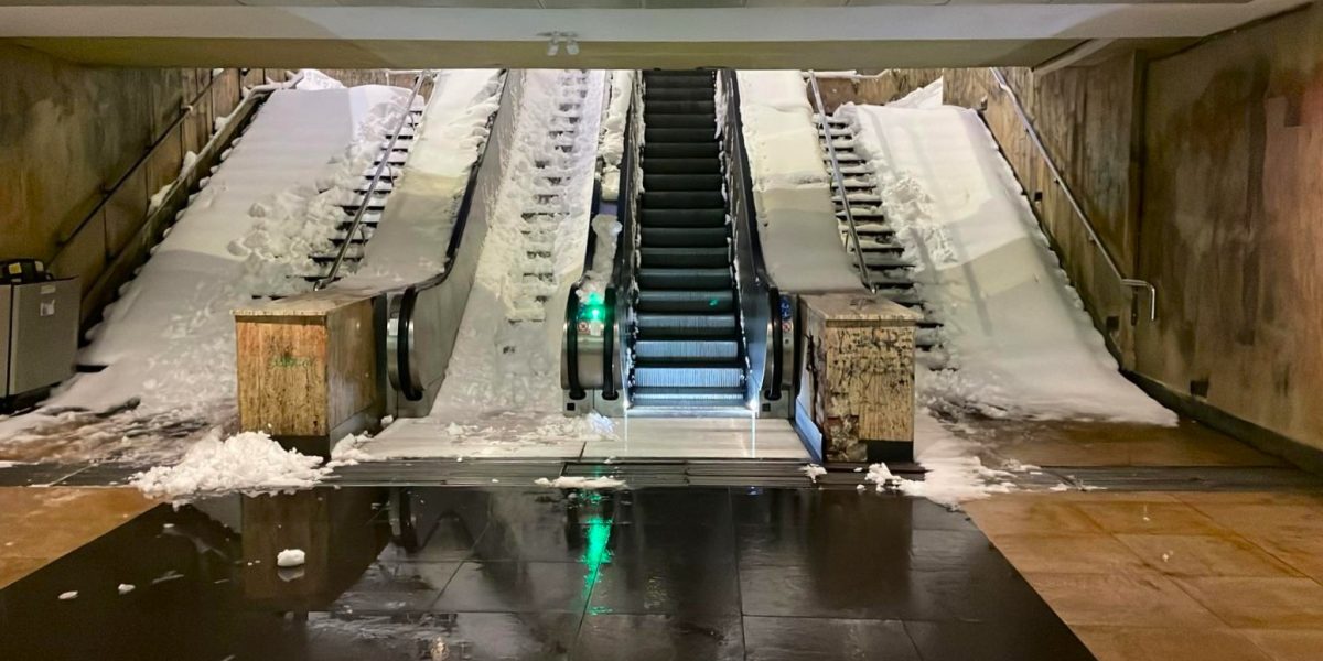 WhatsApp-Image-2026-02-18-at-06.48.54.jpeg - StiriAlese