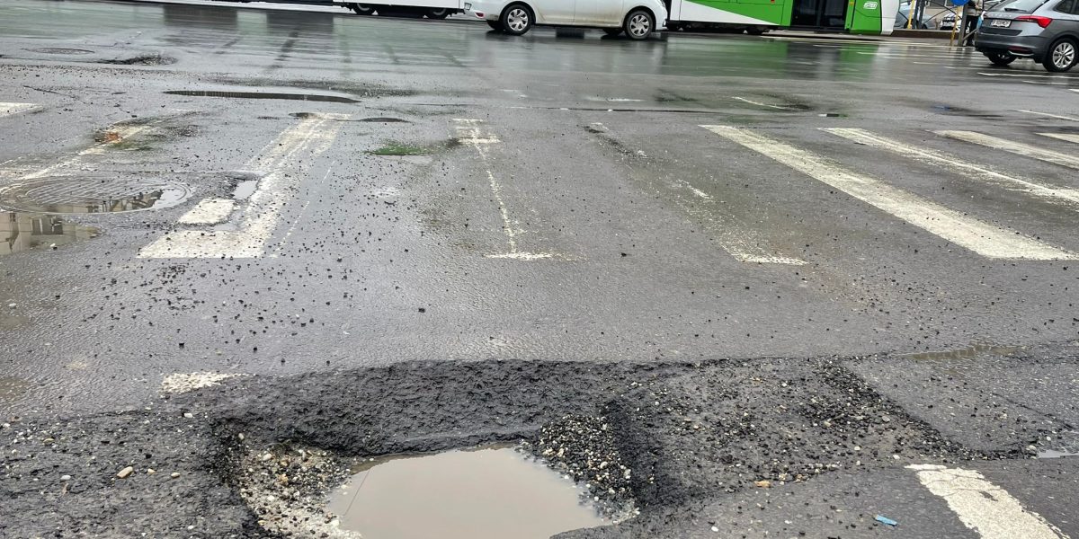 a0c5436f-87fc-47d3-ae27-a479104548f1.jpg - StiriAlese