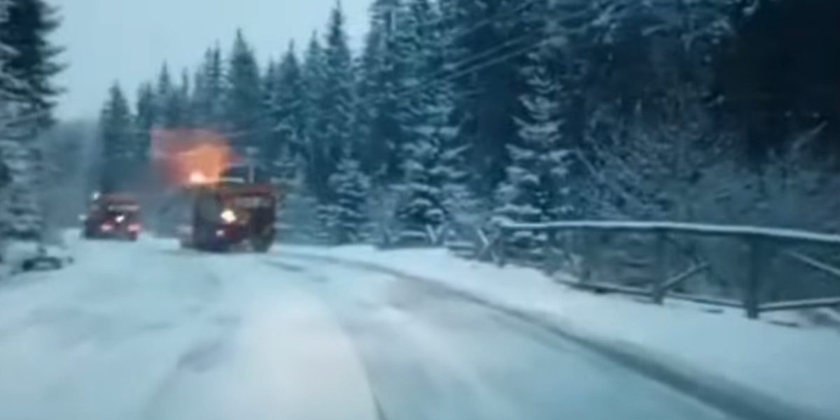 aD02MzAmemM9MSZoYXNoPTAyMTc2YmM0MjAzZDhiOTlkMjg3NmQxYzllNzdlNDkx.thumb_.jpg - StiriAlese