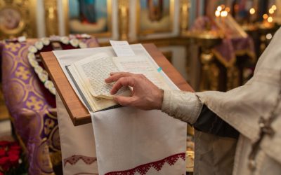 aD03MmRmYTgzM2U5MmE1NTE4ZDRjMjgxNjc5ZGEwYzEzOA.thumb_.jpg - StiriAlese