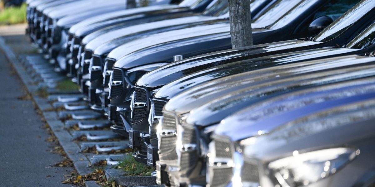 aGFzaD1mNzY4NDBmYzJkNDMzYzBkMWUyMTY0MTIxNjEwZGNkZA.thumb_.jpg - StiriAlese