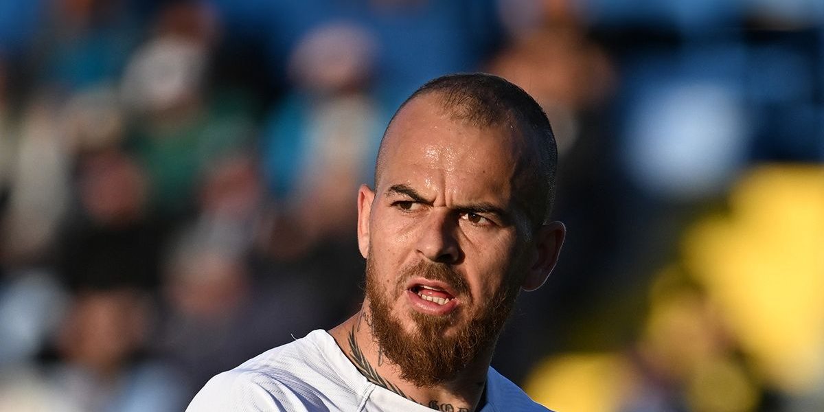 alibec.jpeg - StiriAlese