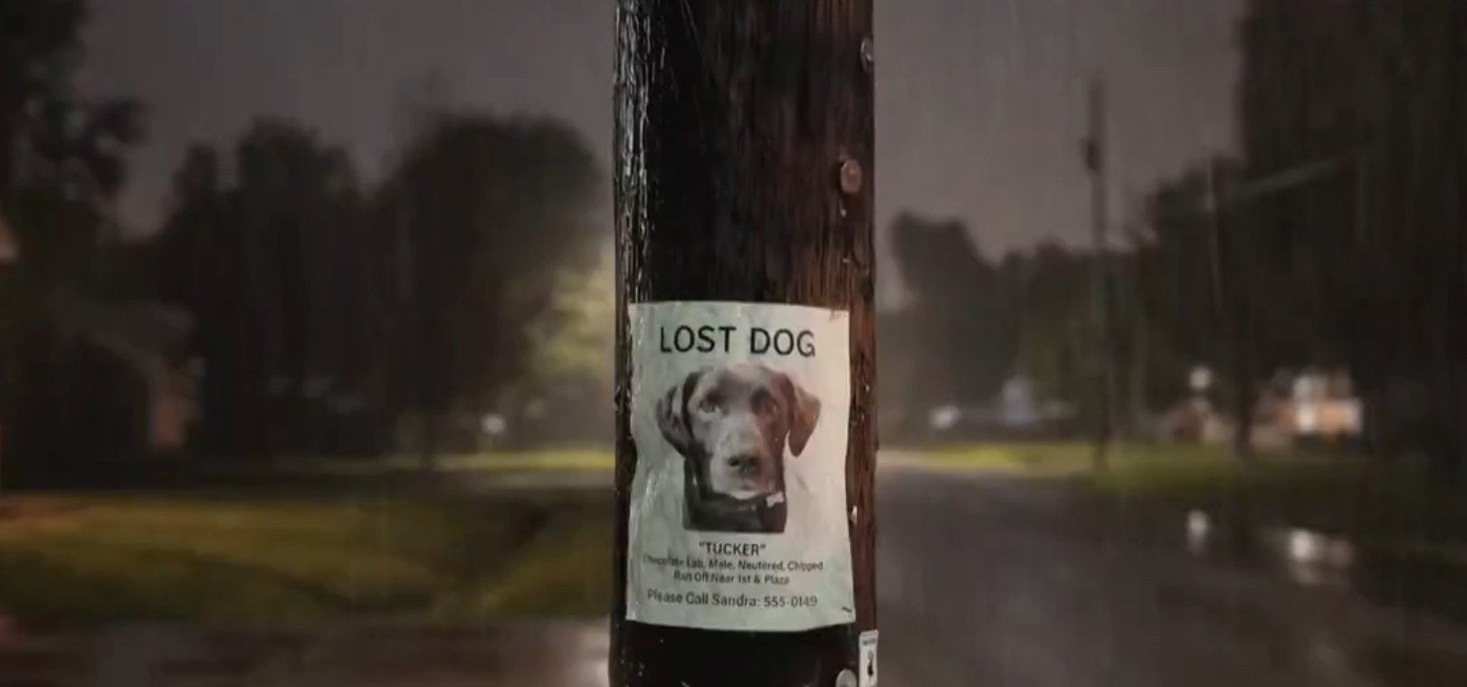 Companiile private încep să cucerească domeniul monitorizării și colectării datelor, lăsând în urmă monopolul statelor, care timp de decenii au avut control exclusiv asupra informațiilor de pe cer sau din spionajul clasic