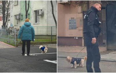 amenzi-bucuresteni-care-nu-strang-dupa-cainii-lor.jpg - StiriAlese