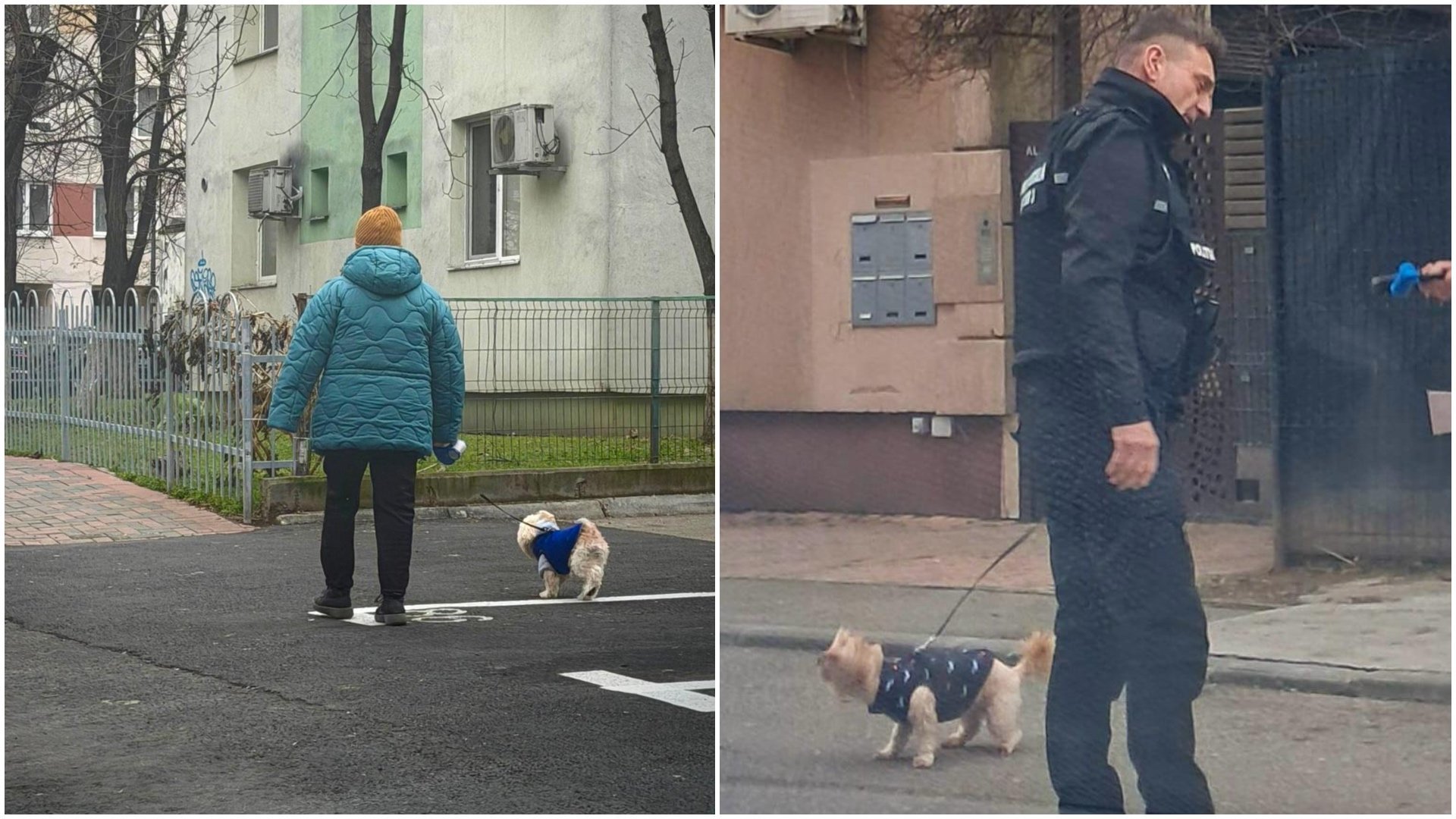 Primăria Sectorului 3 anunță noi măsuri pentru a limita problema mizeriei lăsate de câinii nesupravegheați, aplicând amenzi ce se pot ridica la peste 10.000 de lei pentru stăpânii care nu respectă legile