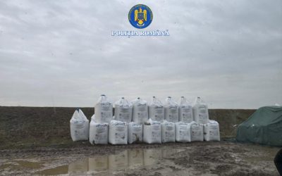 azot-2-1024x768-1.jpeg - StiriAlese