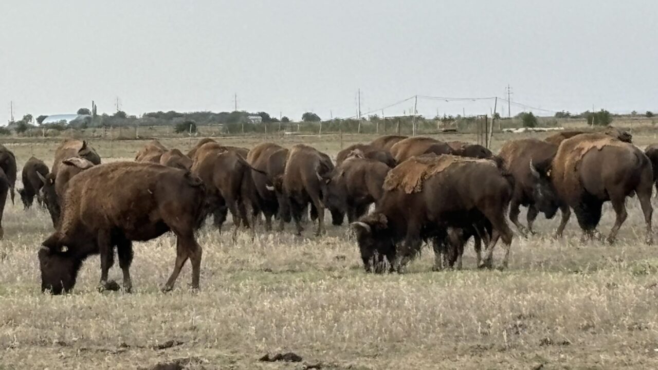 O situație dramatică a fost descoperită în comuna Recea Cristur, din județul Cluj, fapt ce a ridicat semne de întrebare și a alarmat autoritățile locale