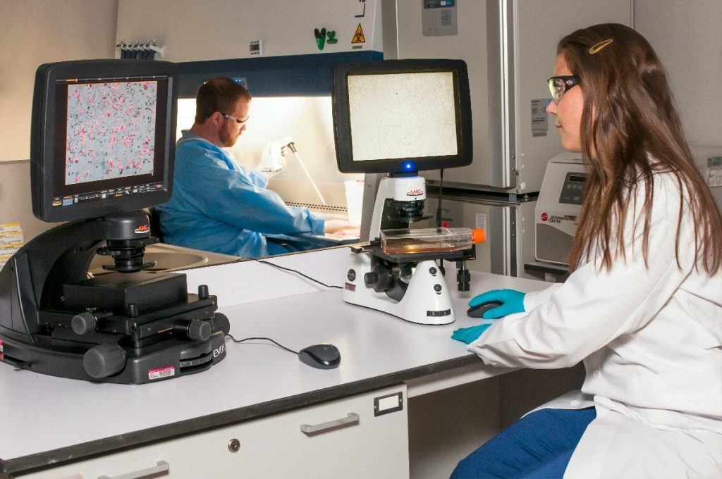 România se aliniază standardelor europene în domeniul radiologiei, după ce Ministerul Sănătății a aprobat oficial metodologia pentru organizarea examenului european pentru obținerea titlului de medic specialist în radiologie și imagistică medicală