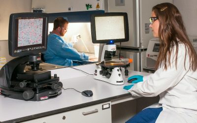 cancer-control-doctor-analiza-spital-doctori-medicina.jpg - StiriAlese