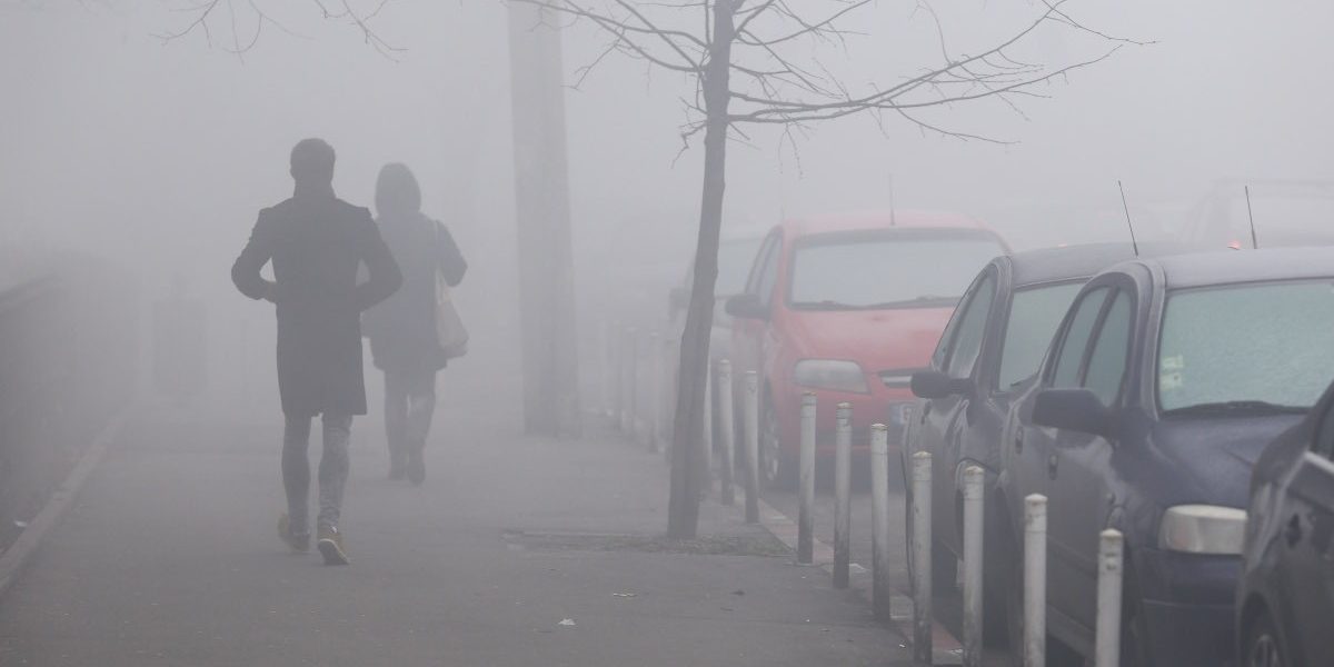 ceata_INQUAM_Photos_George_Calin.jpg - StiriAlese