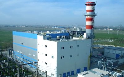 cetvest.jpg - StiriAlese