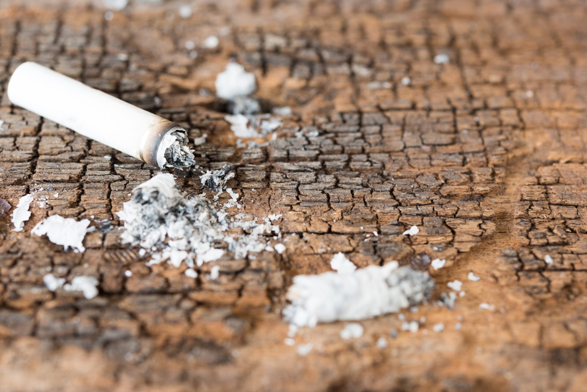 Mucurile de țigară, o resursă neconvențională pentru energia viitorului Poluarea cauzată de deșeurile din plastic nu mai este un secret pentru nimeni, însă lumea începe să descopere și alte categorii de reziduuri cu potențial utilizabil în domeniul energiei