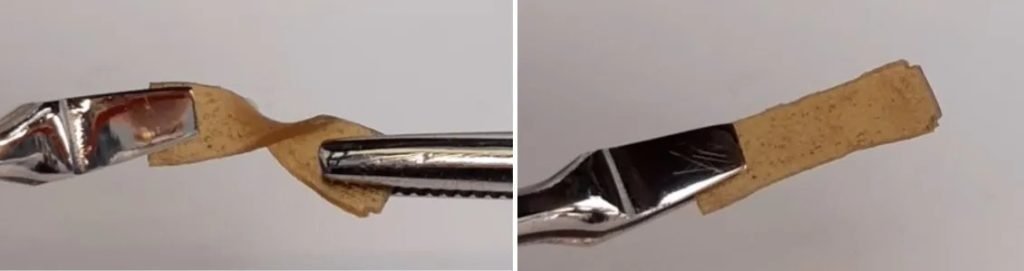 Un avans spectaculos în domeniul materialelor, dezvăluit recent de cercetătorii de la Universitatea și Centrul de Cercetare Wageningen din Țările de Jos, pare să răstoarne tot ce se credea despre proprietățile plastice și sticloase