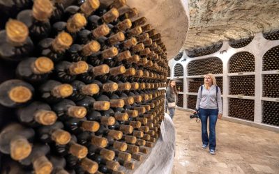 crama-moldova-sticle-cu-vin.jpg - StiriAlese