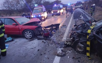 dn13.jpeg - StiriAlese