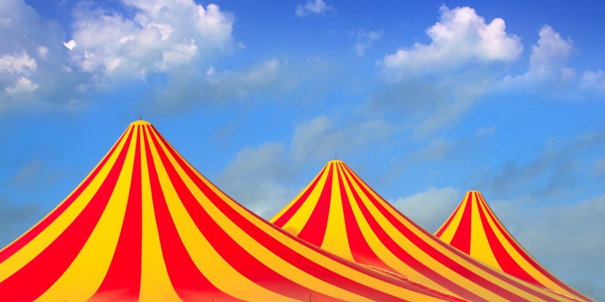 dreamstime_l_19161897-scaled.jpg - StiriAlese