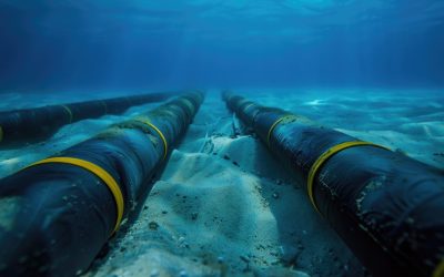 dreamstime_m_314095274.jpg - StiriAlese