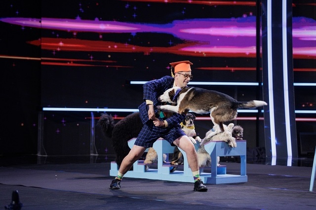 dresor-caini.jpg - StiriAlese