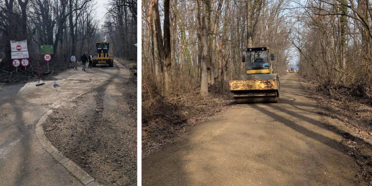 drumulcatregreenfield.jpg - StiriAlese