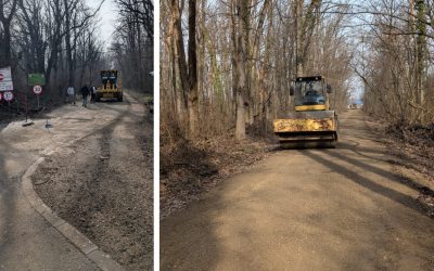 drumulcatregreenfield.jpg - StiriAlese