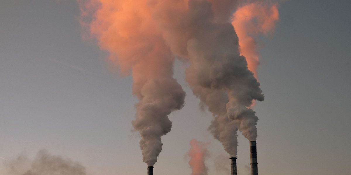 environment-4787978_1920.jpg - StiriAlese