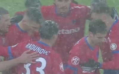 fcsb.jpg - StiriAlese