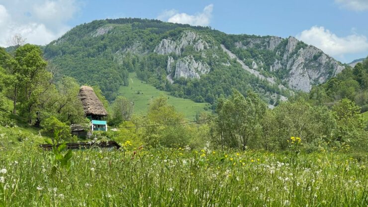 foto-apuseni-sursa-g4media-e1688459569191.jpg - StiriAlese