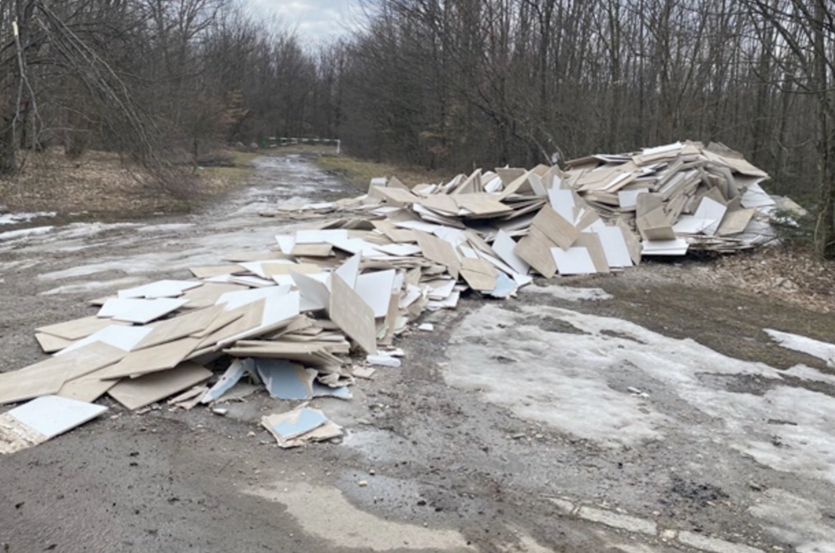 Degradarea ecologică a Parcului Național Cheile Nerei–Beușnița: dezastru ecologic provocat de abandonul ilegal de deșeuri de construcții Parcul Național Cheile Nerei–Beușnița, una dintre cele mai spectaculoase zone naturale din sud-vestul României, se confruntă în ultimele săptămâni cu o problemă grave ce amenință ecosistemele fragile și biodiversitatea unică din această arie protejată