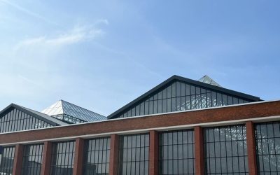 hala-laminor-2.jpg - StiriAlese