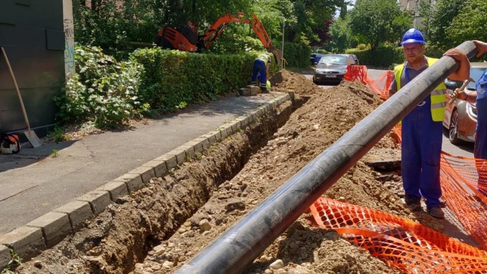 img-3-1-1.jpg - StiriAlese