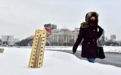 img.jpeg - StiriAlese