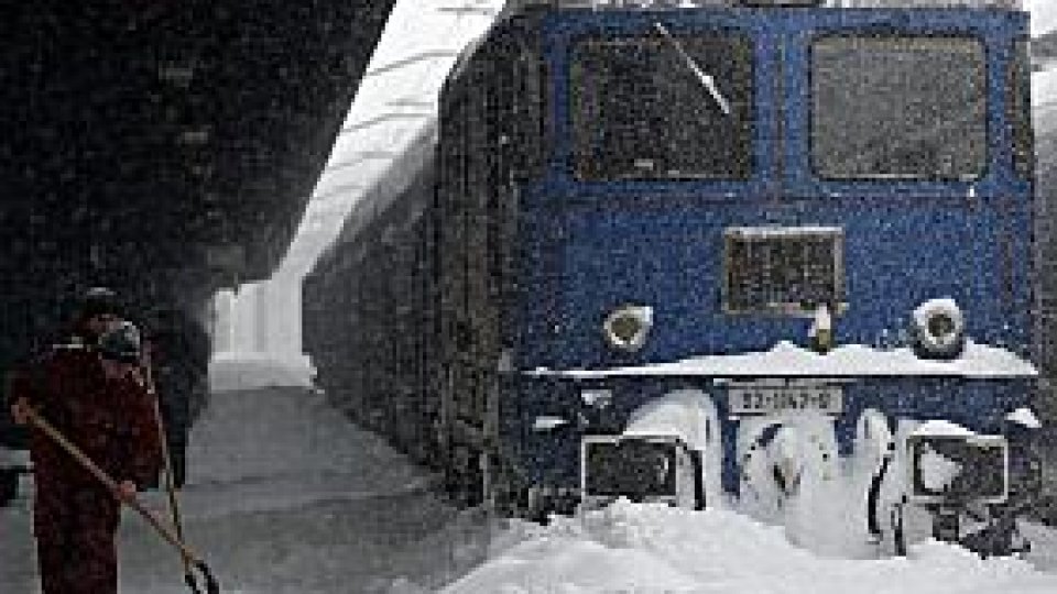 img-7.jpg - StiriAlese