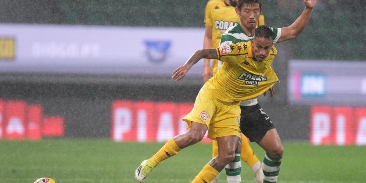 imgS620I1042461T20260201220927.jpg - StiriAlese