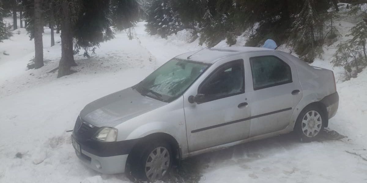 inzapeziti-in-alba.jpeg - StiriAlese