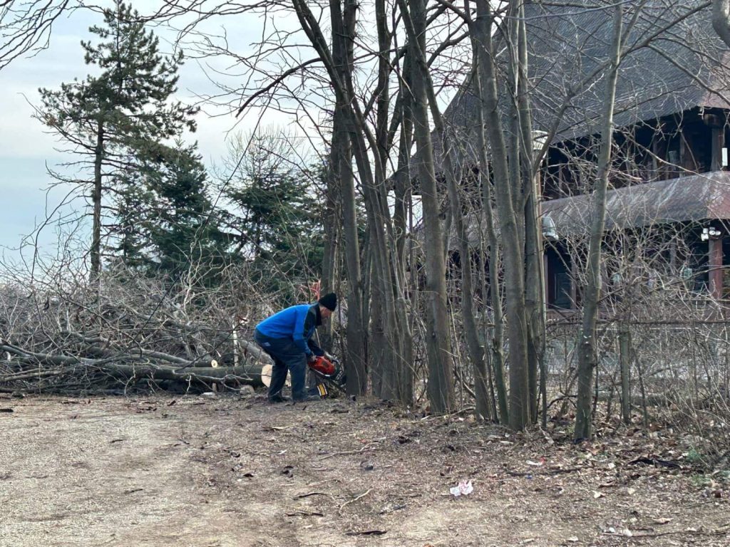 Judecătorul Constantin-Claudiu Ulariu, cel care supraveghează dosarul contestării retrocedării celor 12 hectare din Parcul IOR, ar putea fi înlocuit în urma unei cereri de recuzare depuse de avocații lui Petre Băjenaru