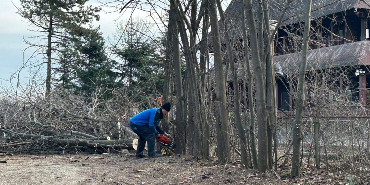 ior-aprc-1-3.jpg - StiriAlese