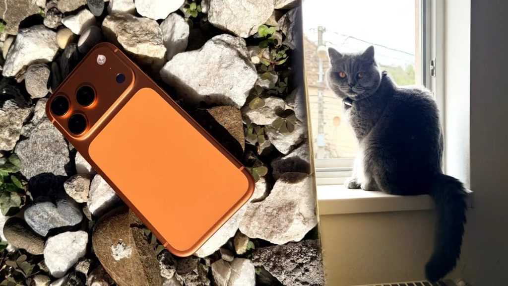 Apple a încheiat anul trecut cu cel mai bun trimestru din istoria sa, raportând vânzări record de iPhone-uri și venituri fără precedent
