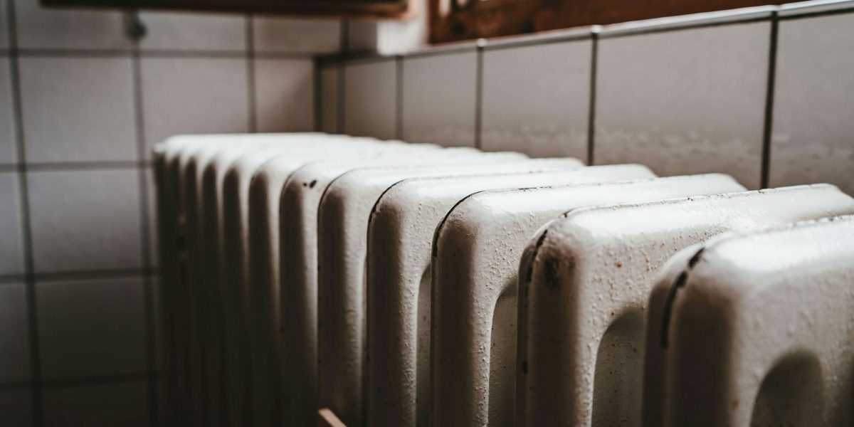 julian-hochgesang-ihx1LdtnGXw-unsplash-1-e1770715886989.jpg - StiriAlese