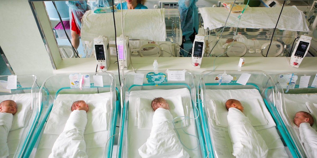 nou-nascut_INQUAM_Photos_George_Calin.jpg - StiriAlese