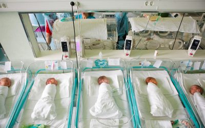 nou-nascut_INQUAM_Photos_George_Calin.jpg - StiriAlese