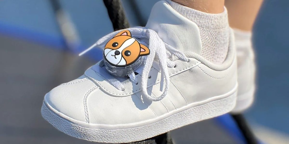 pantofi-airtag.jpg - StiriAlese