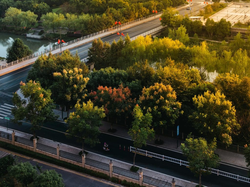 Romsilva a obținut o victorie majoră în instanță în procesul care vizează restituirea a peste 43.000 de hectare de teren forestier, administrate de Direcția Silvică Bacău