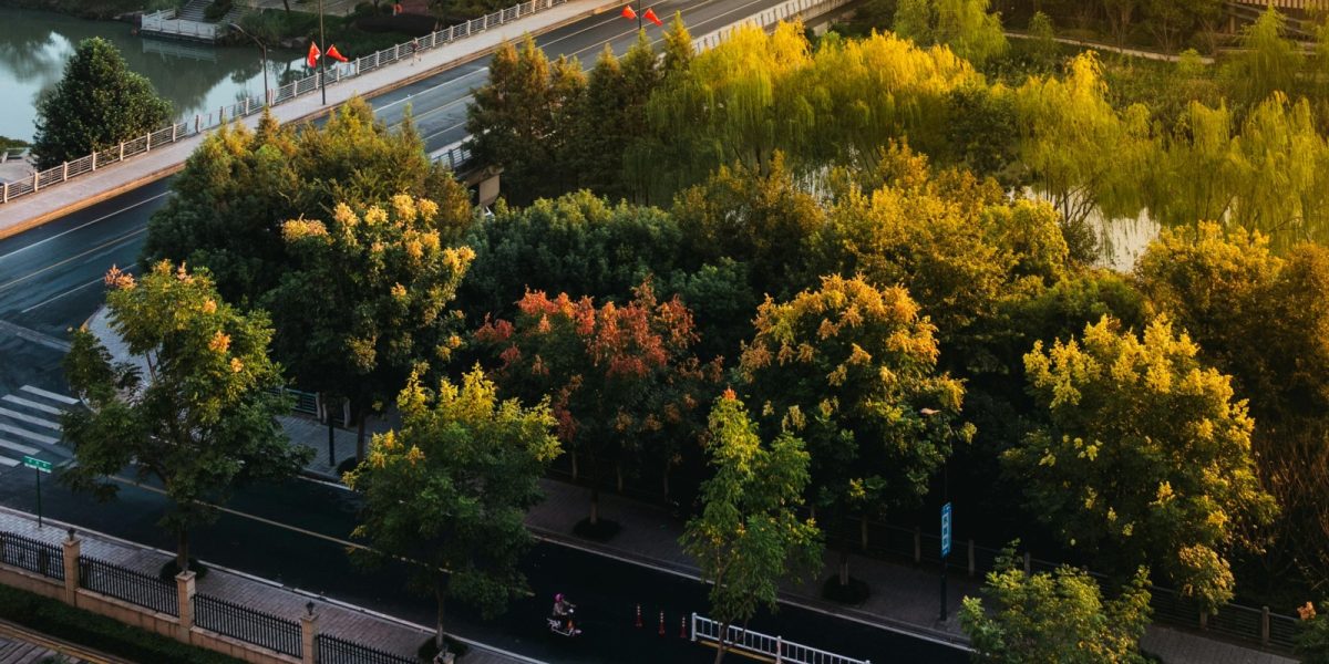 pexels-chuanyu2015-209658-30406834.jpg - StiriAlese