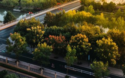 pexels-chuanyu2015-209658-30406834.jpg - StiriAlese